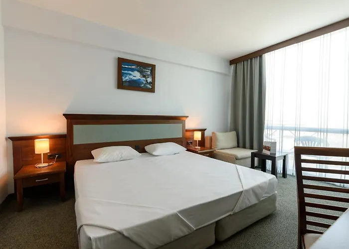 Lion Sunny Slantschew brjag