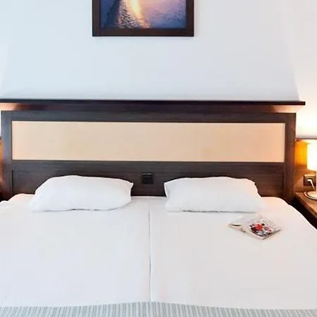 Lion Sunny Otel 4*