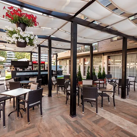 Lion Sunny Sunny Beach