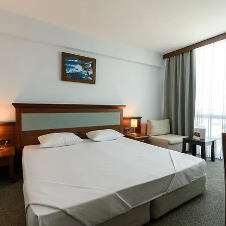 Lion Sunny Słoneczny Brzeg